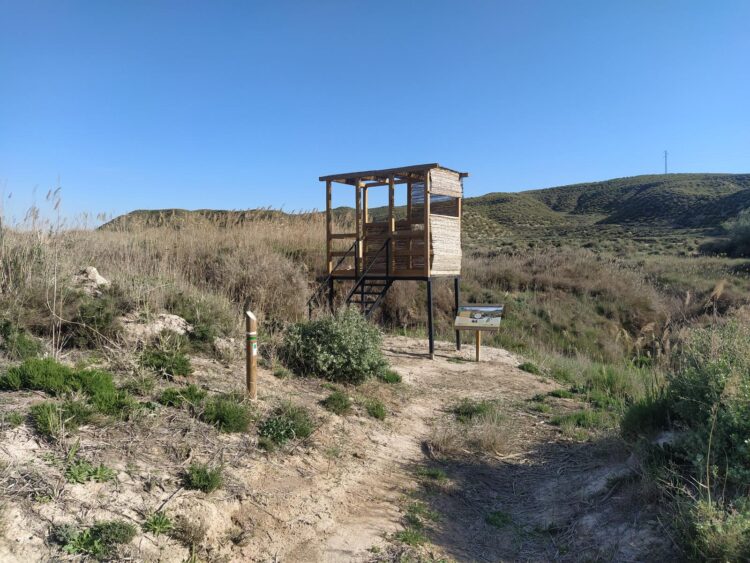 Observatorio De Aves2