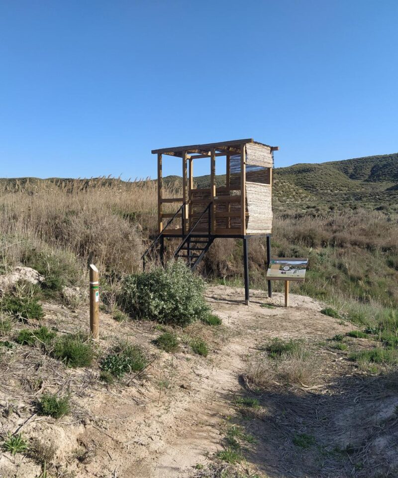 Observatorio De Aves2