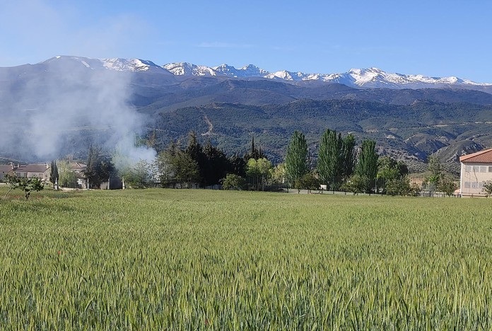 Panorámica de Sierra Nevada desde PR-A 387