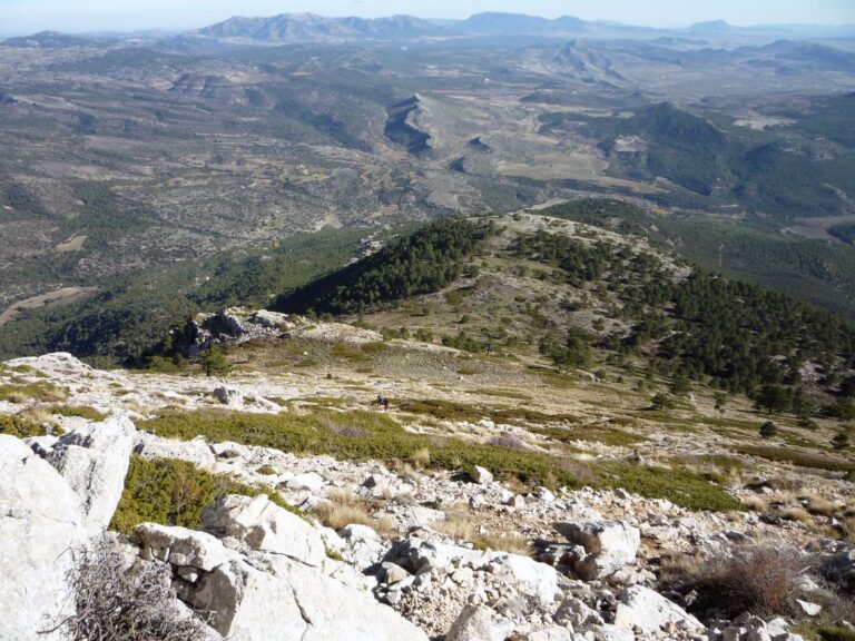 Collado de las Víboras