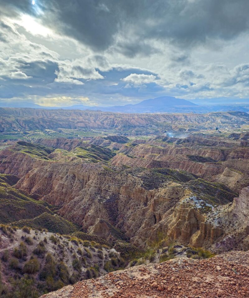 Paisaje Fonelas