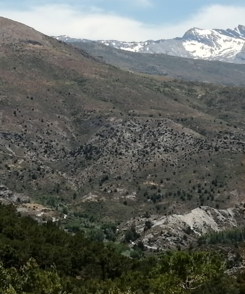 Panorámica De Sierra Nevada Desde El Sendero