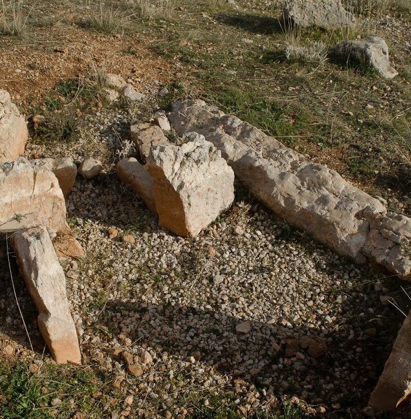 Panoria