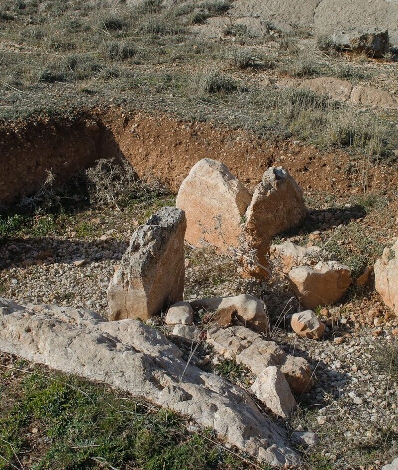 Panoria1