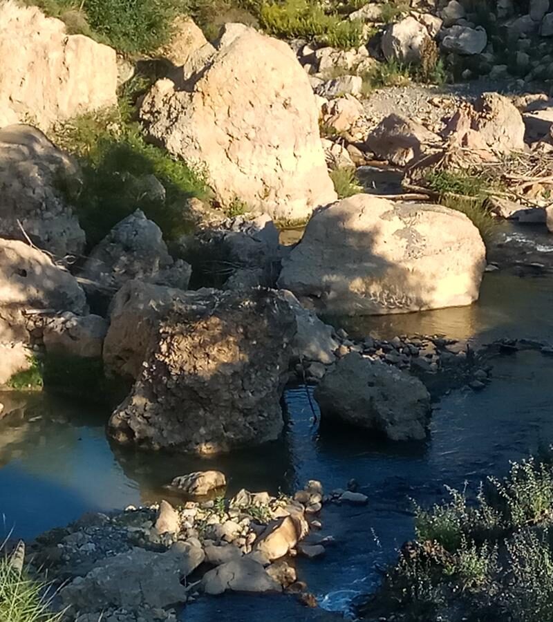 Rio Fardes1