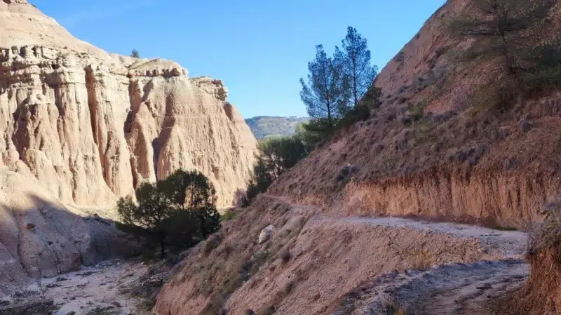 Sendero2