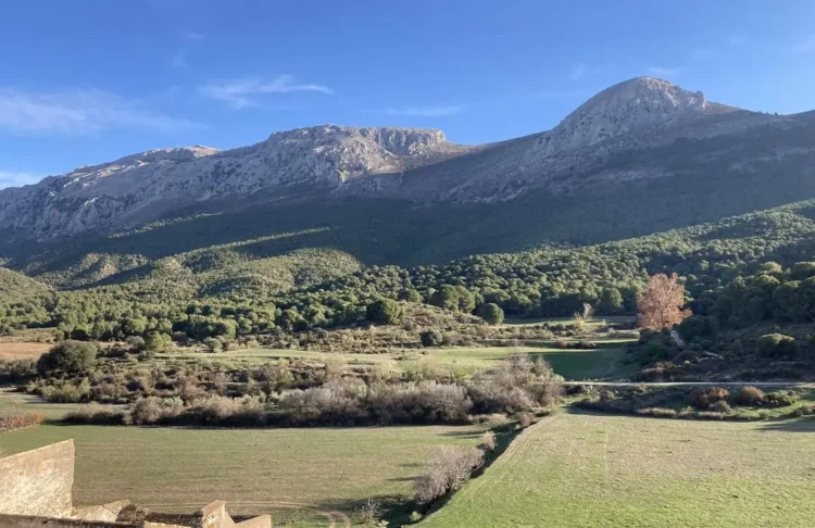 Sierra Harana