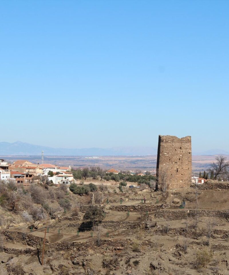 Torre Alcazar2
