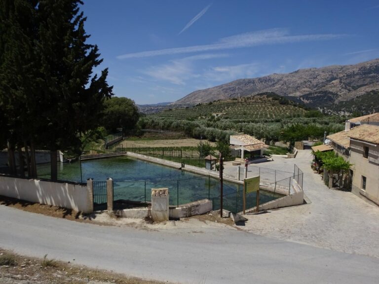 Acequia Vega de los Tubos