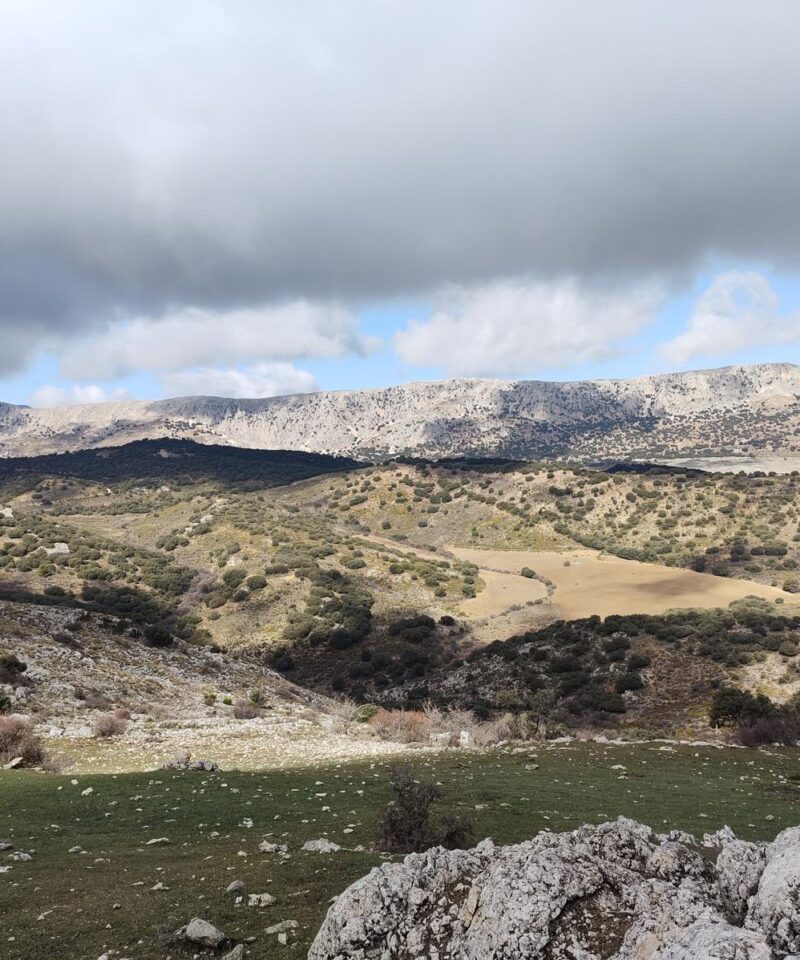 Cerro Gallarín4