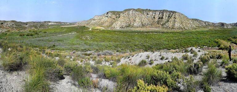Ruta Humedales De El Margen