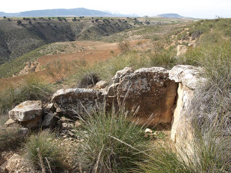 Dolmen Cortijo De Olivares3