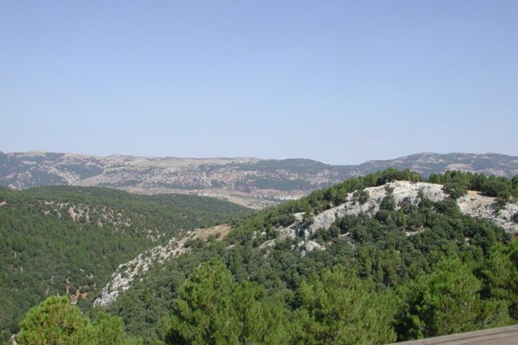 Mirador Churrascon1