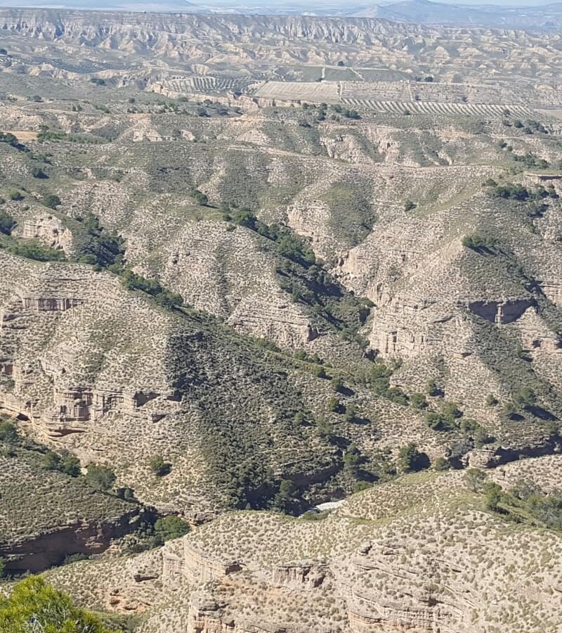 Mirador1