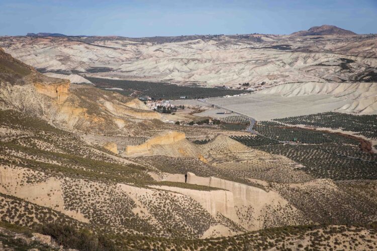Dehesas De Guadix 2 7 Scaled