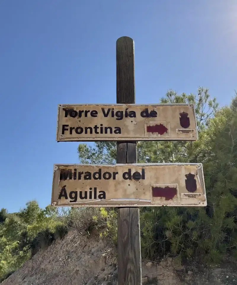 Mirador Aguila Como Llegar 3
