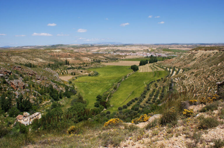 Ruta Barranco De Los Pinos
