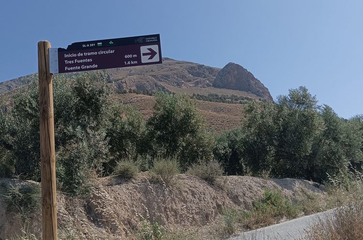 Cerro Jabalcón Desde El Sendero