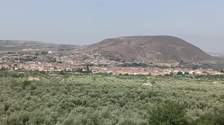 Panorámica De Zújar