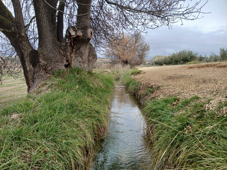 Una De Las Acequias Históricas